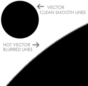 vector vs raster visualisation.